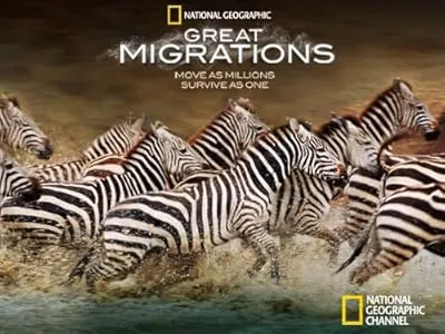  مستند Great Migrations