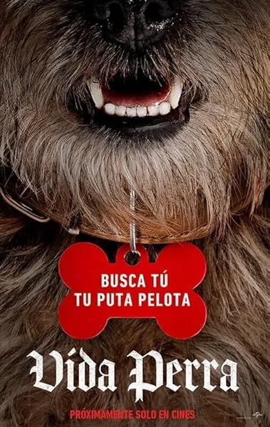  فیلم Strays 2023