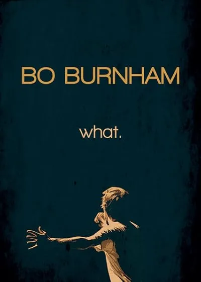  مستند Bo Burnham what 2013