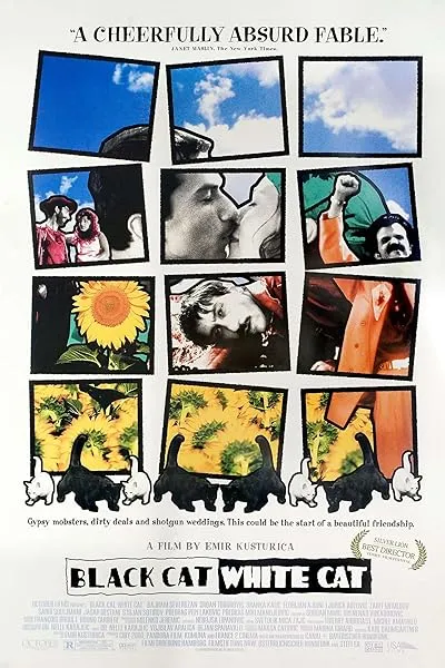  فیلم Black Cat, White Cat 1998
