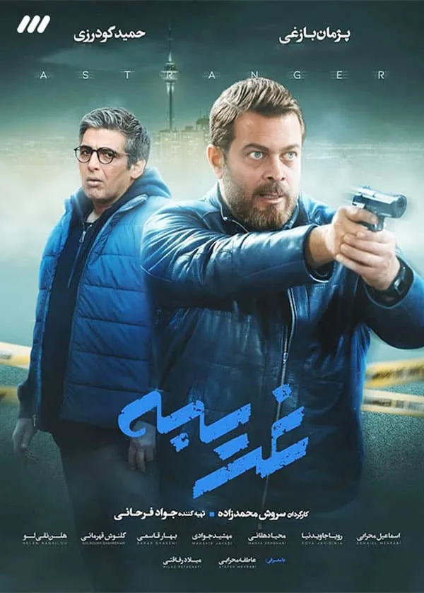 سریال غریبه