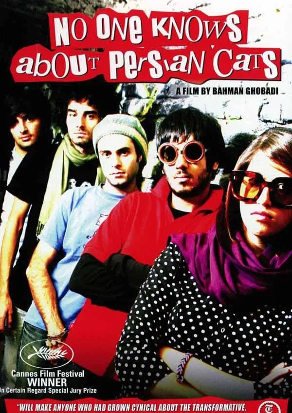 فیلم کسی از گربه‌های ایرانی خبر نداره