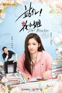 سریالStop! Miss Hua